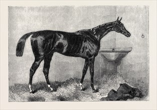 MR. R. SUTTON'S LORD LYON, WINNER OF THE TWO THOUSAND GUINEA STAKES AT NEWMARKET, UK, 1866
