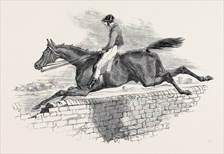 "LOTTERY," THE CELEBRATED STEEPLE CHASE WINNER. DRAWN BY HERRING.