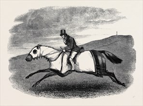HORSE TRAINING.