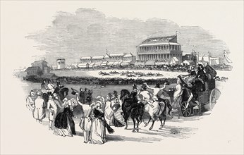 EPSOM RACES