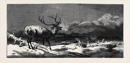 "COMING EVENTS CAST THEIR SHADOWS BEFORE THEM." PAINTED BY E. LANDSEER, R.A.