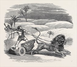 CARTER'S LION CHARIOT FEAT,