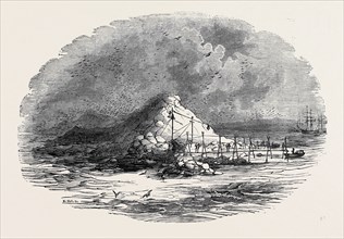 THE ISLAND OF ICHABOE
