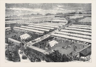 THE ROYAL VISIT TO THE IRISH AGRICULTURAL SOCIETY'S SHOW AT DUBLIN, 1871