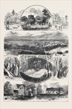 SKETCHES IN EPPING FOREST, 1871