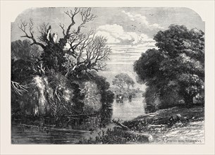 VIEW IN TICHBORNE PARK, ALRESFORD, HANTS., 1871