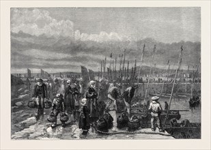 SARDINE FISHERY ON THE COAST OF BRITTANY, FRANCE, 1871