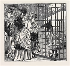 SKETCHES IN THE INTERNATIONAL EXHIBITION: THE LLAMA, 1871