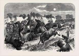 STAMPEDE OF CAVALRY HORSES AT ALDERSHOTT CAMP, 1871
