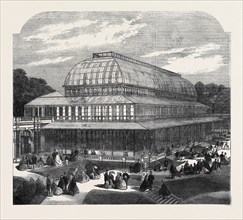THE CONSERVATORY IN THE ROYAL HORTICULTURAL SOCIETY'S GARDENS, SOUTH KENSINGTON