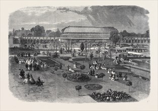 THE ROYAL HORTICULTURAL SOCIETY'S GARDENS, SOUTH KENSINGTON, SHOWING THE CONSERVATORY AND PORTIONS