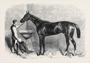 THE GOODWOOD RACES; STARKE, THE WINNER OF THE GOODWOOD CUP, AUGUST 10, 1861