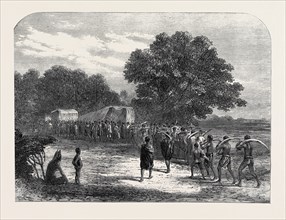 BRINGING IVORY TO THE WAGGONS IN SOUTH AFRICA, 1868