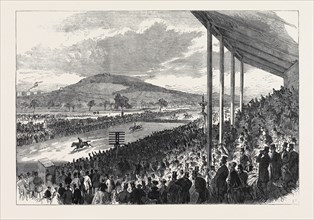 THE ROYAL ARTILLERY STEEPLECHASE AT WOOLWICH, 1868