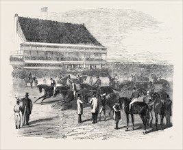 THE DERBY DAY: THE PRELIMINARY CANTER