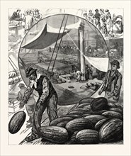NEW YORK: INCIDENTS OF THE WATERMELON TRADE IN THE METROPOLIS