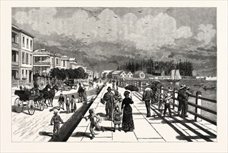 SOUTH CAROLINA: THE SOUTH IN 1880, EAST BATTERY, THE PROMENADE ON THE SOUTHERN END OF EAST BAY