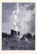 The Giant Geyser, United States of America