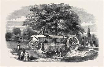 REMOVAL OF A TREE BY BARRON'S MACHINE, IN THE ROYAL BOTANIC SOCIETY'S GARDEN, REGENT'S PARK