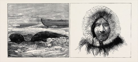 THE AUSTRIAN POLAR EXPEDITION: LEFT IMAGE: DEAD SEALS ON THE ICE, RIGHT IMAGE: A SAMOIEDE PILOT