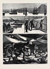 THE CRISIS IN EGYPT, THE VOYAGE OF H.M.S. TROOPSHIP "ORONTES": 1. The British Reserve Squadron at