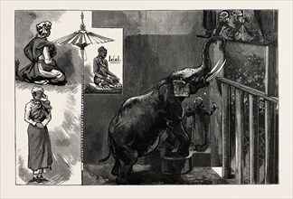 THE BURMESE "PRIESTS" AND MR. BARNUM'S ELEPHANT AT THE ZOOLOGICAL GARDENS