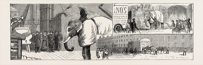 MR. BARNUM'S WHITE BURMESE ELEPHANT "TOUNG TALOUNG": 1. The Arrival of the "Tenasserim" at