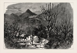 WITH ADMIRAL SIR W. HEWETT'S EMBASSY TO KING JOHN OF ABYSSINIA: A GLIMPSE FROM THE MAIENSI PASS