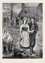 GEESE, 1870