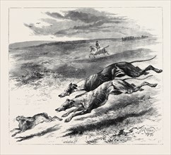 COURSING, 1870