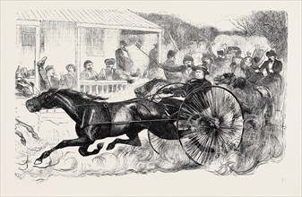 TROTTING, EIGHTH AVENUE, NEW YORK, 1870