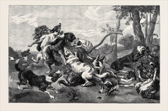 THE LION HUNT