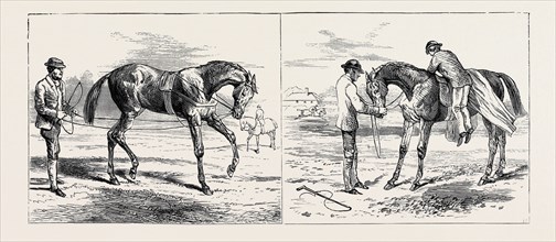 THE TRAINING OF A RACEHORSE: BREAKING THE YEARLING (LEFT); BACKING THE YEARLING (RIGHT), 1870
