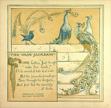 THE VAIN JACKDRAW