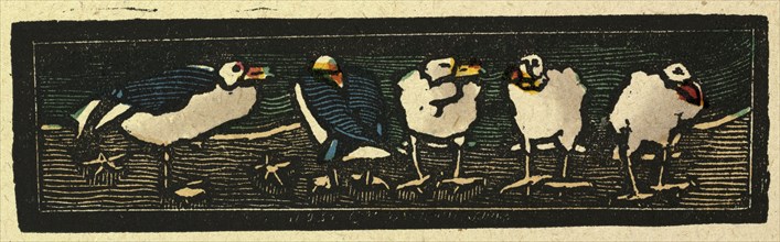 illustration of English tales, folk tales, and ballads. Five sea gulls