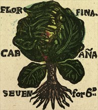 illustration of English tales, folk tales, and ballads. Cabbage