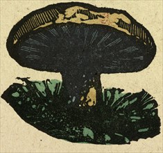 illustration of English tales, folk tales, and ballads. A mushroom