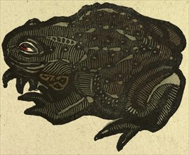 illustration of English tales, folk tales, and ballads. A toad