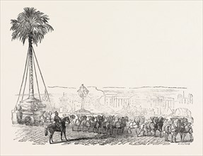 REMOVAL OF A GIGANTIC PALM-TREE FROM MESSRS. LODDIGES', AT HACKNEY, TO THE CRYSTAL PALACE, 1854,