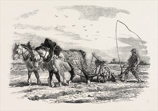 PLOUGHING IN FRANCE