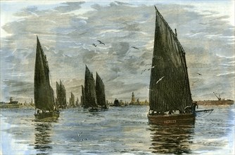 Aberdeen, The Herring Fleet, 1885, UK