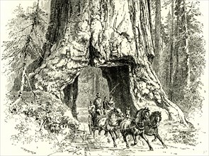 Yosemite Valley, Wawona, 1891, USA