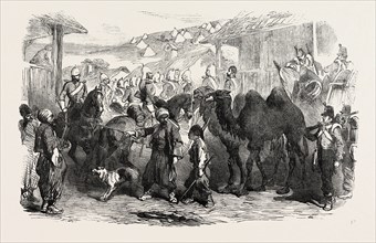 THE CRIMEAN WAR: STREET IN BALACLAVA, 1854
