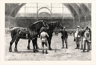 THE SHIRE HORSE SHOW AT THE AGRICULTURAL HALL: THE FINAL DUEL