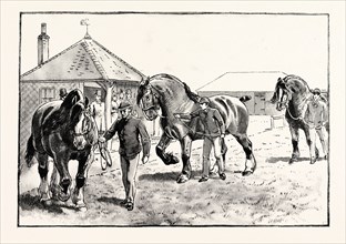 A PARADE IN FRONT OF THE PAVILION IN MR. GILBEY'S PADDOCKS AT ELSENHAM