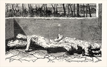CASTS OF DEAD BODIES OF TWO WOMEN.