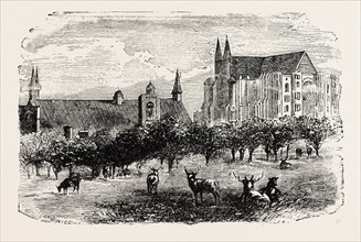 WESTMINSTER ABBEY AND HALL IN THE 15TH CENTURY.