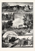 EDINBURGH: THE ROYAL BOTANIC GARDENS; 1.General View of the Gardens; 2. The Arboretum; 3. Rock
