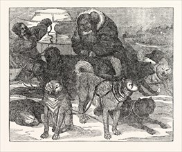 Eskimaux harnessing their Dogs to a Sledge