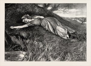 TESS OF THE D'URBERVILLES: "Tess flung herself down upon the undergrowth of rustling spear-grass as